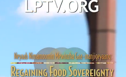 Regaining Food Sovereignty: Neyaab Nimamoomin Mewinzha Gaa-inajigeyang