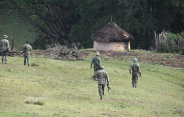 Image result for squatters in kenya staring forest resettlement