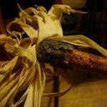 foodsovereignty2