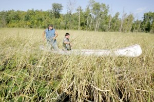Joe Hoagland, left, pushes a canoe through a wild rice bed in White Earth, Minn., on Aug. 30, 2006, as 14-year-old Chris Salazar learns how to harvest the rice by knocking the grain off the stalks with two sticks. The rice harvest was part of a week-long camp to re-connect young people with their American Indian culture. (AP Photo/Jim Mone)