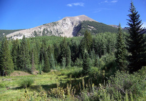 Conservation groups are gearing up to protect a forested roadless area and lynx habitat threatened with destruction by recent federal agency approvals of a coal mine expansion 10 miles east of Paonia, Colorado.