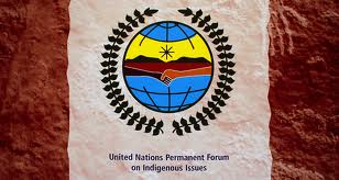 unpfii-2