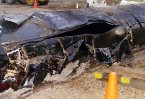 The National Transportation Safety Board released August 8, 2010 this photograph of the pipeline that ruptured and spilled oil into a river July 26, 2010 in Marshall, Michigan. The 30-inch crude oil pipeline, operated by Enbridge Energy Partners/Pipeline, leaked oil into a creek leading to the Kalamazoo River. Two sections of the pipe, 23 feet, 4-inches and another 26 feet, 10-inches, were sent to the NTSB laboratory for further examination. The photograph show the length of the fracture which extends approximately 6 1/2 feet longitudinally with the widest portion of the opening measuring 4 1/2-inches. Photo courtesy of the National Transportation Safety Board