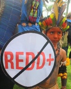 Brazilian indigenous Child with No REDD Shield 2