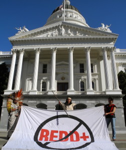 Indigenous Peoples and allies from Chiapas and the Amazon protest California REDD in Sacramento in front of the capital building, after a California Air Resources Board hearing where they testified on the adverse impacts that the possible inclusion of REDD was already having on communities. October 18, 2012Foto: Jeff Conant/Friends of the Earth-US