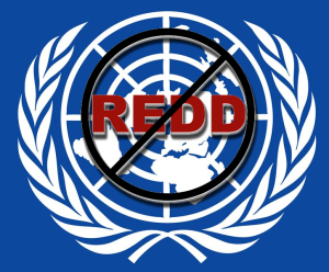NoRedd-UN-logo