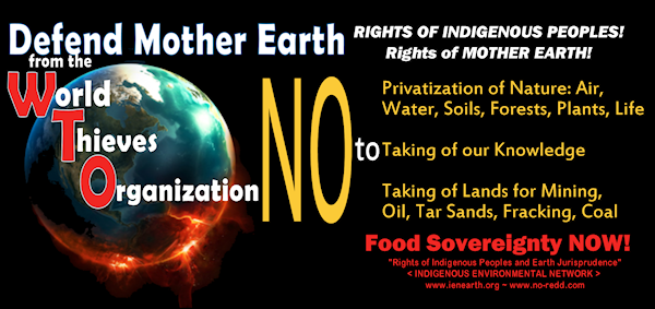 IEN-wto-sticker-blog-size