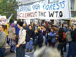 group of activists with sign reading "Defend our Forests Clearcut the WTO"