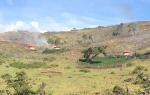 homes where people were evicted in Kenya
