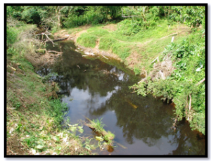Image3