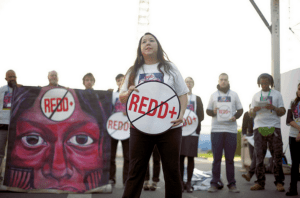 Indigenous Environmental Network, Kandi Mossett NoREDD Action Paris COP21