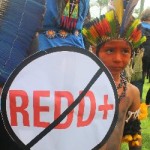 Brazilian indigenous Child with No REDD Shield 2