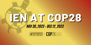 IEN at COP 28 November 30-Dec 12, 2023 Dubai, UAE