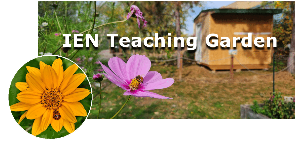 IEN Teaching Garden