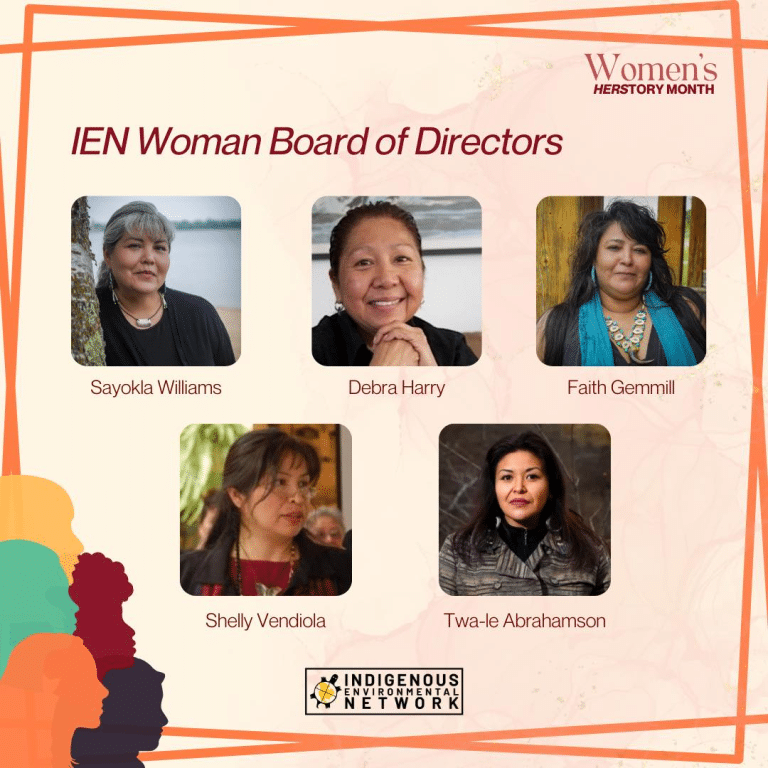 Women of IEN - Board Members