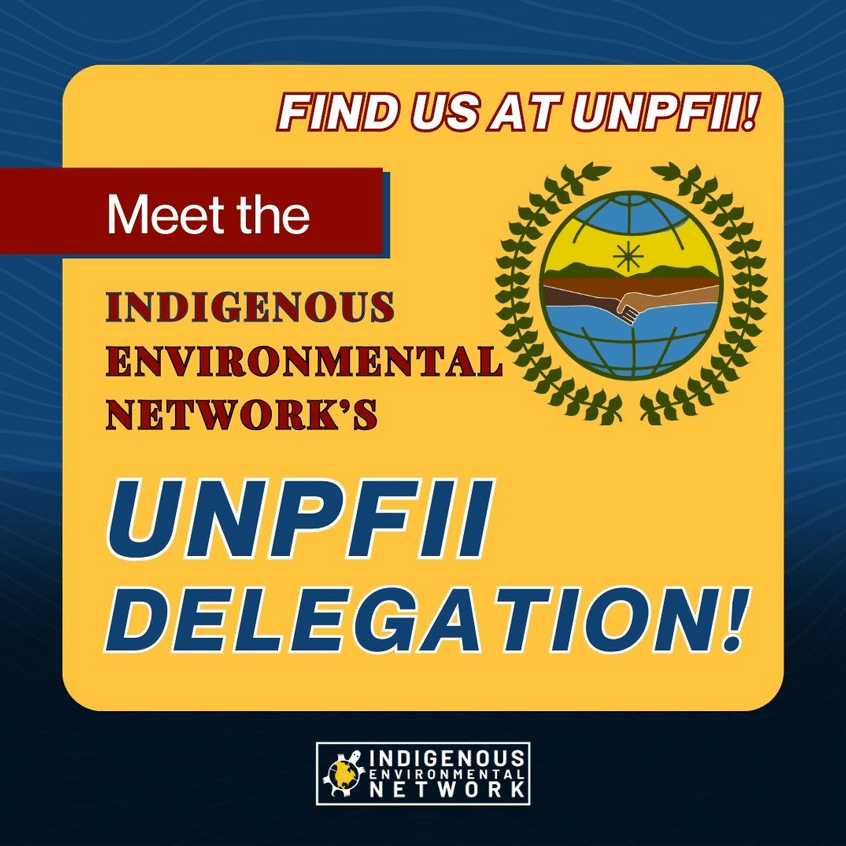 Meet our delegation to the 23rd UNPFII