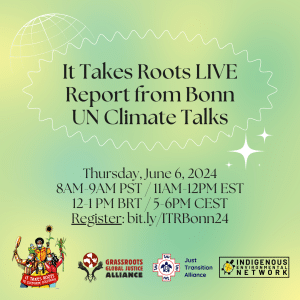 It Takes Roots LIVE Report from Bonn UN Climate Talks
