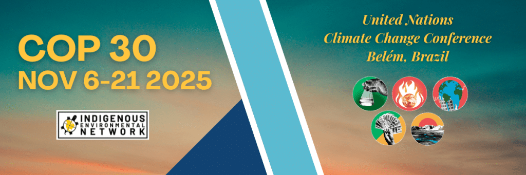 COP 30 Banner